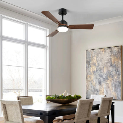 Ceiling Fan Lamp
