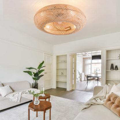 Caged Invisible Ceiling Fan with Light