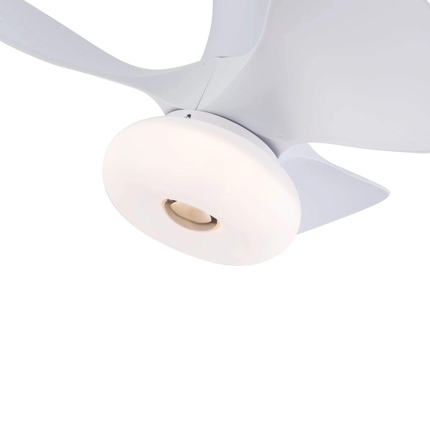 22" Ceiling Fan Light
