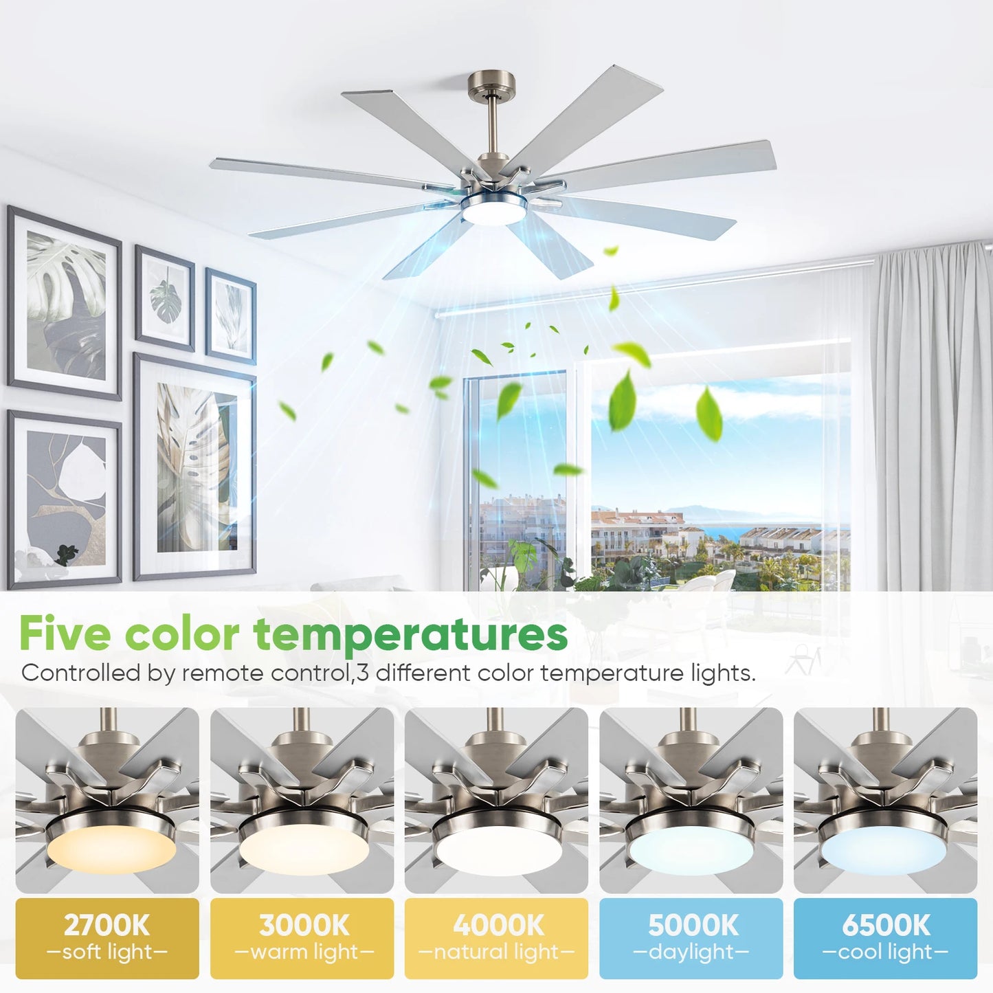 62"Ceiling Fan with Light